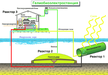 биогаз, виэ, возобновляемые источники, азовское море, альтернативная энергетика, утилизация