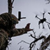 Киев поддержит дронами каждый "мясной" штурм