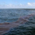 Заявление КТК об устранении всех последствий утечки нефти в Черном море поставлено под сомнение