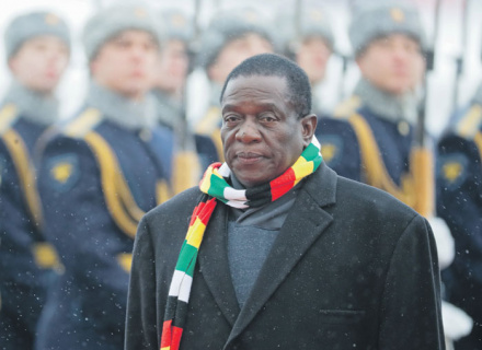 зимбабве, президент, эммерсон мнангагва, рф, сотрудничество