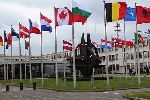 В НАТО опасаются, что Москва применит силу против Минска