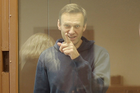 внесистемная оппозиция, навальный, еспч, совет европы