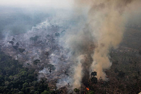 амазония, лесные пожары. чс, летисия, латиноамериканские страны