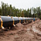 Отчетность «Газпрома» заставляет инвесторов волноваться насчет дивидендов