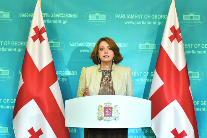 Евросоюз слегка пожурил Тбилиси и обещал обширную помощь
