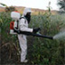 Пестициды – роковой феномен материальной действительности
