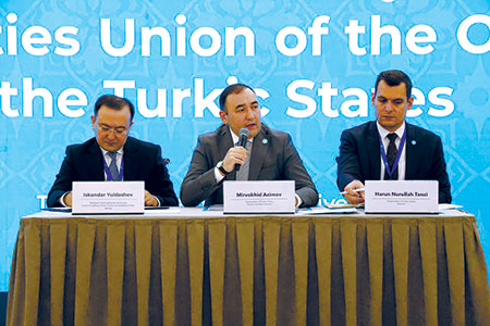 Тюркская академическая интеграция