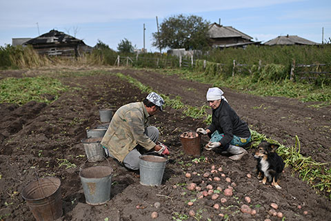 Как коронакризис поможет изменить российское село