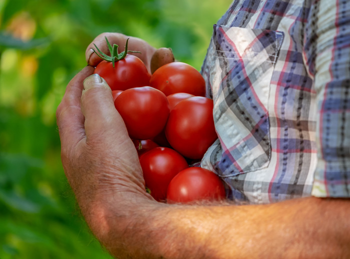 Простейшие продукты питания скоро станут "деликатесами"