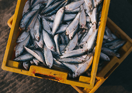 Потребление рыбы в РФ за последние годы сократилось почти на четверть