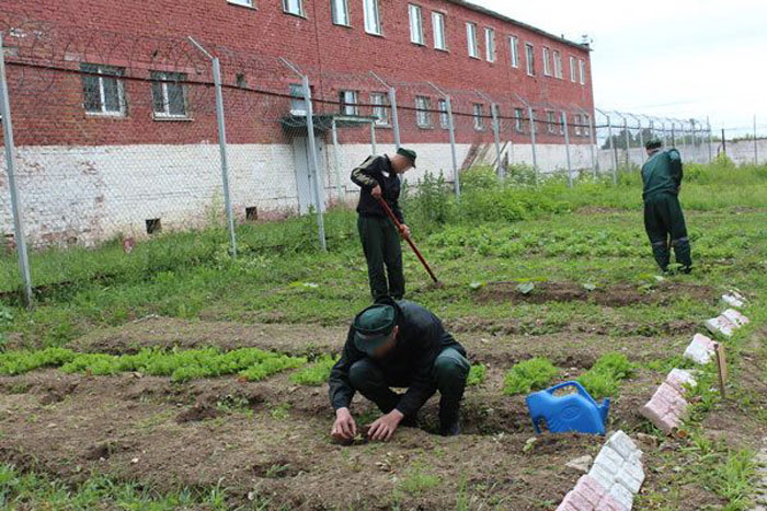 Автоматического освобождения не будет