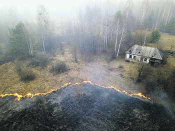 чернобыльский лес, пожар, фото