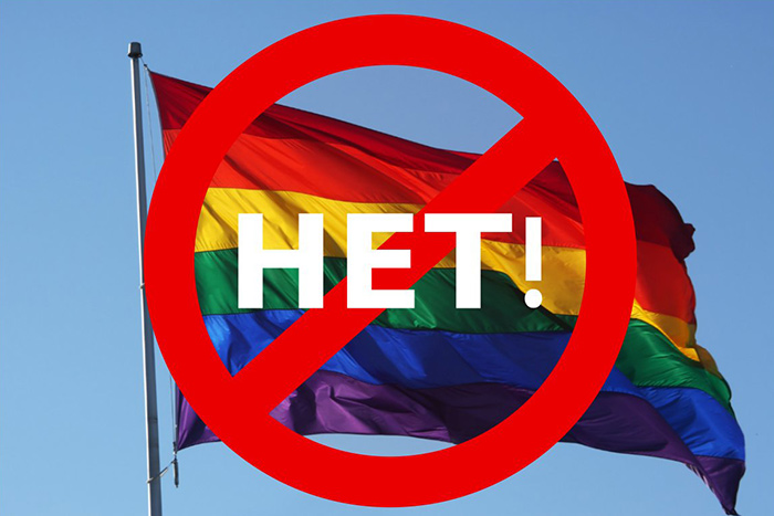 Не надо парада. Повесть о депутатах Госдумы и достижениях гомосексуализма в России