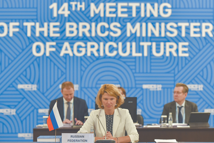 Участники БРИКС поддержали инициативу России по зерновой бирже