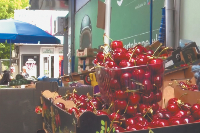 Консервные заводы Молдавии на грани остановки