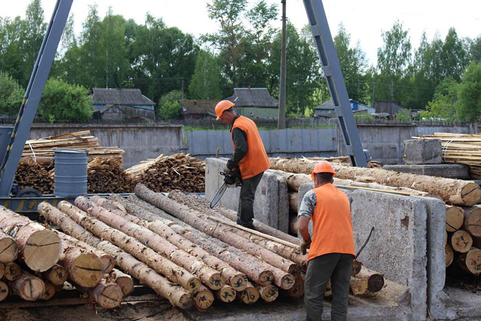 "Катастрофа" в Украине: Европейцы расхищают национальное богатство страны