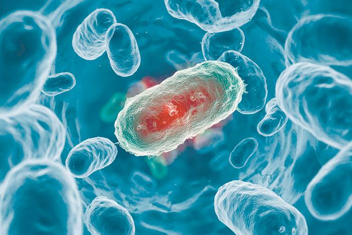 Кишечная фауна вырабатывает серотонин, который защищает людей от депрессии