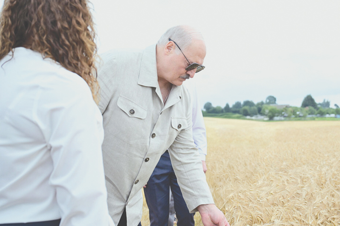 Лукашенко усилил ответственность чиновников за падеж скота