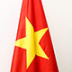 "Бамбуковая" дипломатия выгодна Вьетнаму