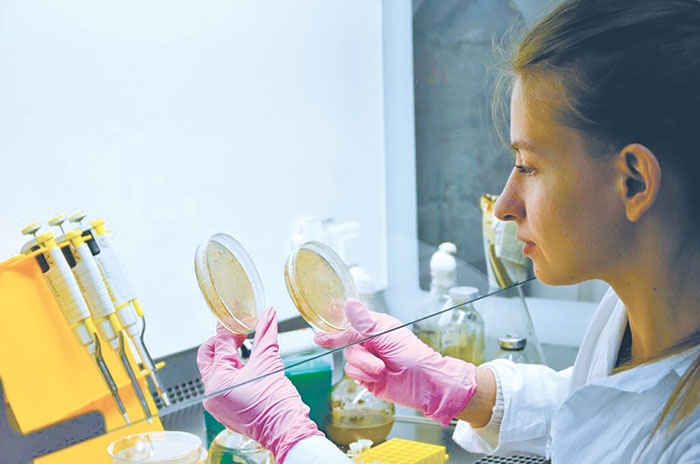 Препарат "Океанида" все ближе к практическому использованию