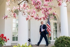 Трамп решился на обострение ситуации в Сирии