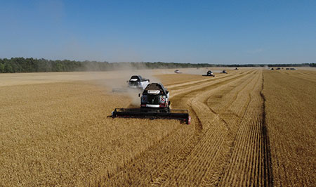 Комитет Госдумы принял поправку в Налоговый кодекс по поддержке аграриев из граничащих с Украиной регионов