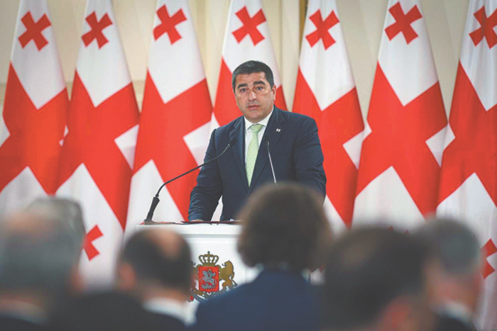 Грузия проигнорировала последнее европейское предупреждение