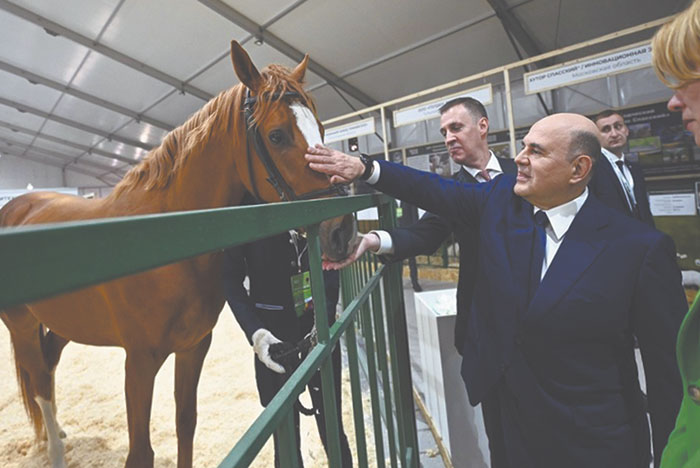 Впервые за многие годы Россия стала нетто-импортером сельхозпродукции