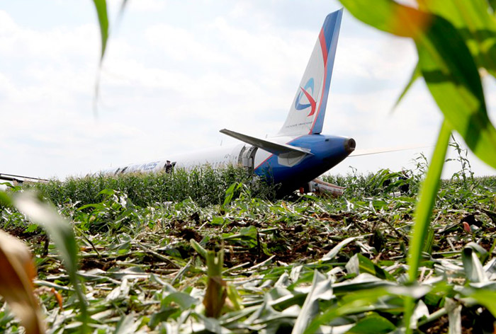 Посадка А321 на кукурузное поле. Все действия экипажа в этой ситуации великолепны - эксперт