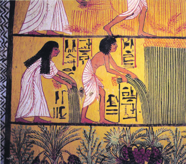 история, древний египет, сельское хозяйство, климат, изменение климата, генная инженерия