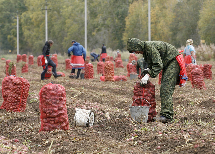 Сельхозпикник для первокурсника