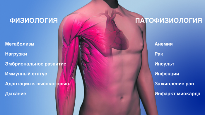 Удар в кислородное сплетение