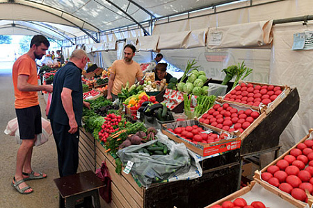 базовые сезонные продукты, цены, инфляция, торговля, издержки, логистика