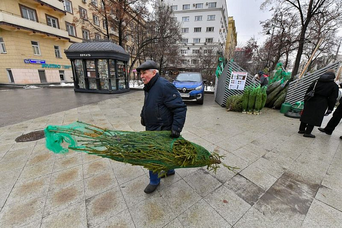 москва, елки, базары