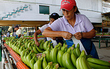 Россия–Эквадор: бананы, гвоздики и оружие