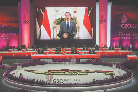 индонезия, саммит, g20, экономика, климат, голод, политика, путин, си цзиньпин, байден
