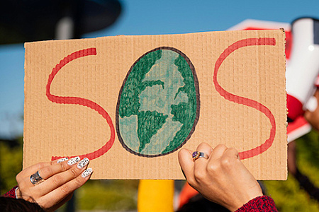 WWF, Greenpeace, экология, экологи, промышленность, экономика, экологические активисты