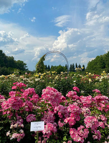 ботанический сад мгу, прогулка, впечатления, городские зарисовки