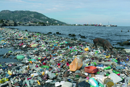 экология, пластический материал, полиэтилен, отходы, загрязнение, утилизация
