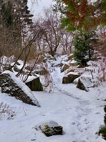 ботанический сад мгу, прогулка, впечатления, городские зарисовки