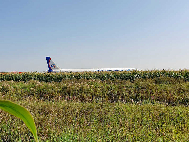 жуковский, уральские авиалинии, a321, посадка, авария