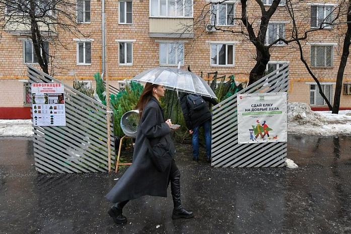 москва, елки, базары