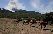 Огненная стихия бушует на юге Испании