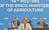 Участники БРИКС поддержали инициативу России по зерновой бирже