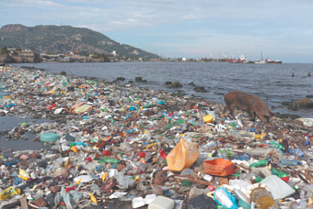 микропластик, пластиковое загрязнение, биопластик, биоразлагаемые материалы, безопасность