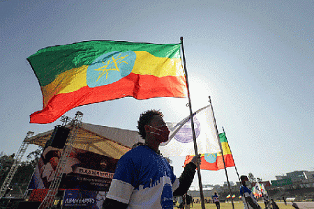 эфиопия, посол, алемайеху тегену, интервью
